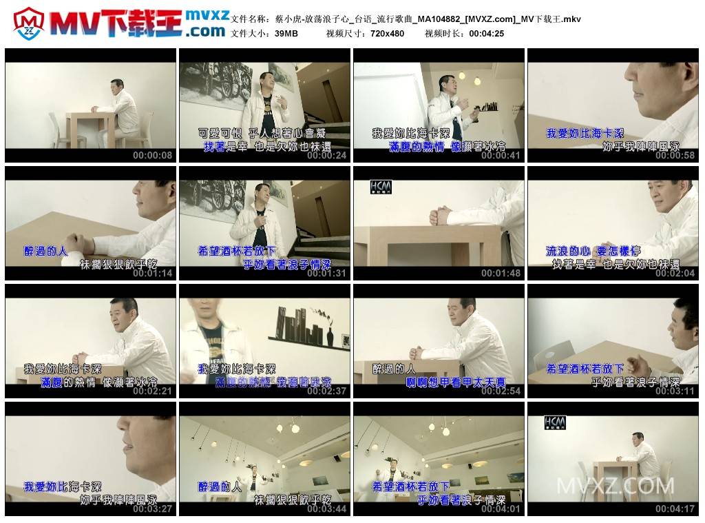 蔡小虎-放荡浪子心_台语_流行歌曲_MA104882